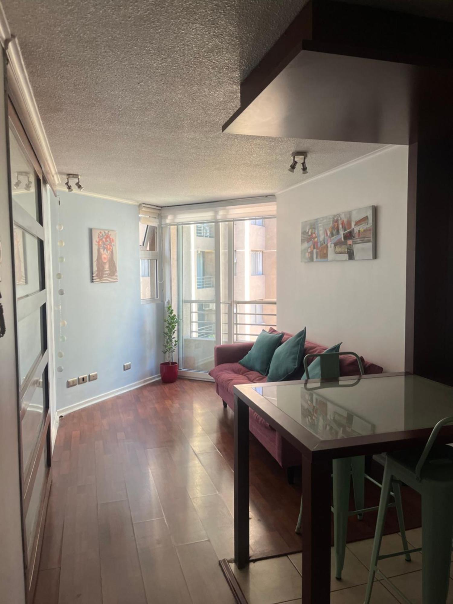 Apartamento Lujoso Y Confortable Departamento De Valentina Santiago